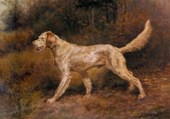 埃德矇 亨利 奧斯特豪斯 Commissioner, A Champion English Setter 埃德矇 亨利 奧斯特豪斯 Commissioner, A Champion English Setter